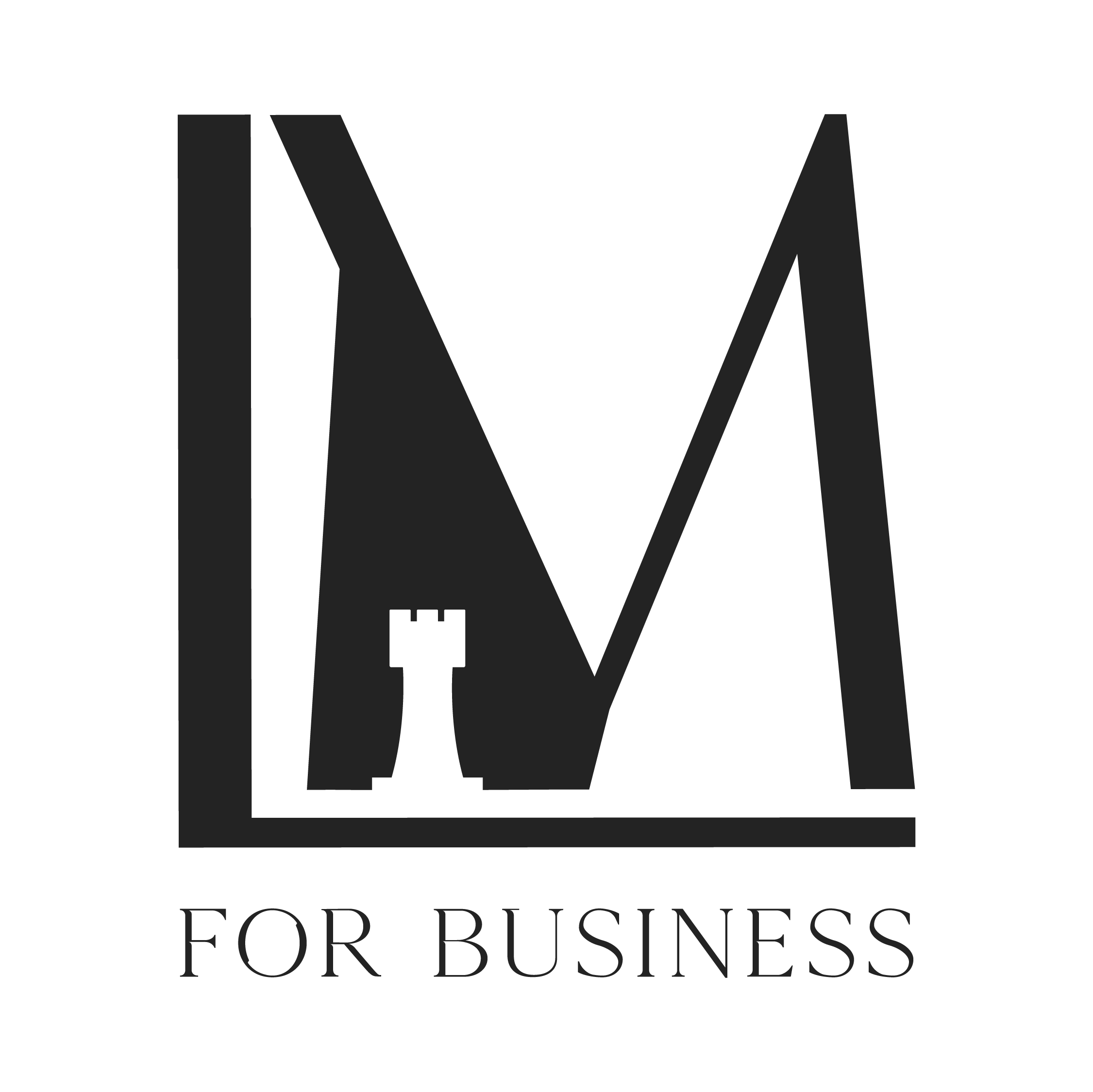 LM-for-Business 2